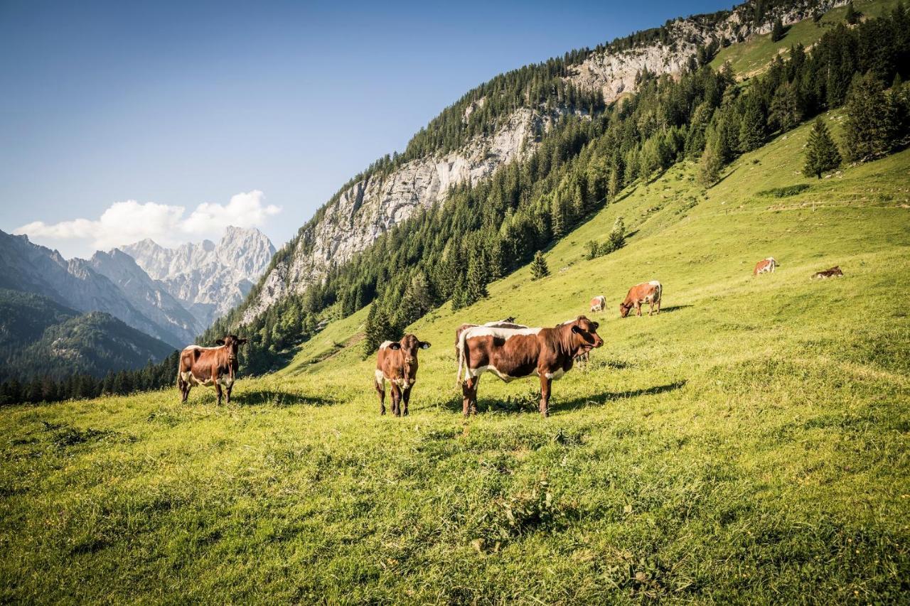 Ferienwohnung Im Gaestehaus Sieger-Brandner Ramsau bei Berchtesgaden Luaran gambar